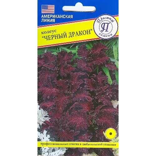 Колеус Черный дракон Престиж изображение 1 артикул 65848