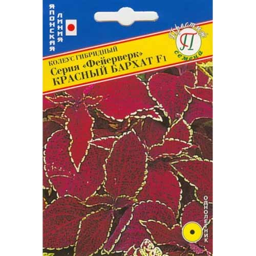 Колеус Фейерверк Красный бархат F1 Престиж изображение 1 артикул 71452