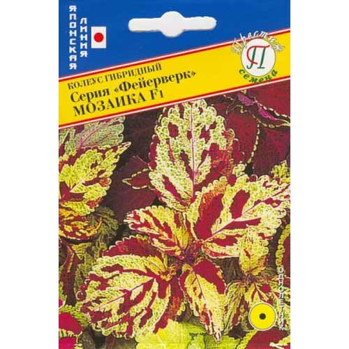 Колеус Фейерверк Мозаика F1 Престиж изображение 1 артикул 71454