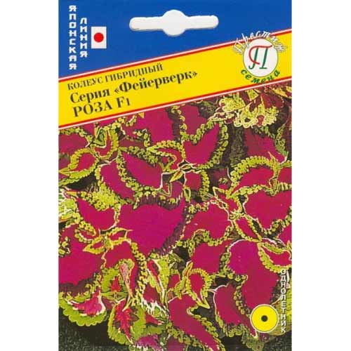 Колеус Фейерверк Роза F1 Престиж изображение 1 артикул 71455
