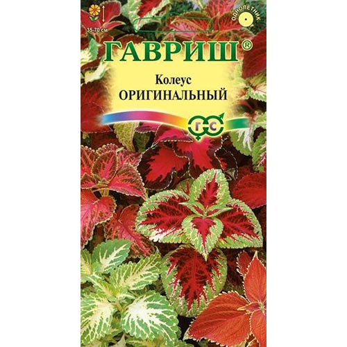 Колеус Оригинальный, смесь окрасок изображение 1 артикул 92098