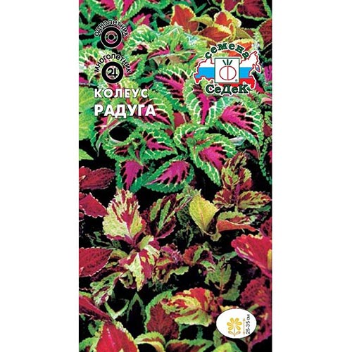 Колеус Радуга, смесь окрасок изображение 1 артикул 93822