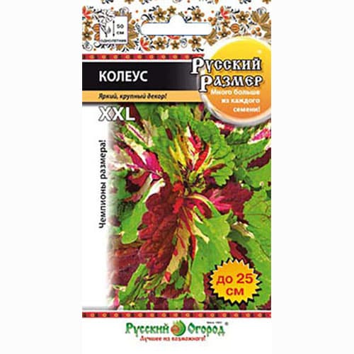 Колеус Русский Размер, смесь окрасок Русский огород НК изображение 1 артикул 92533