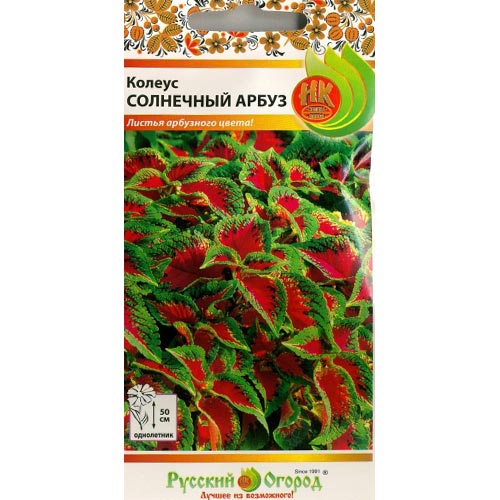 Колеус Солнечный арбуз, семена изображение 1 артикул 92534