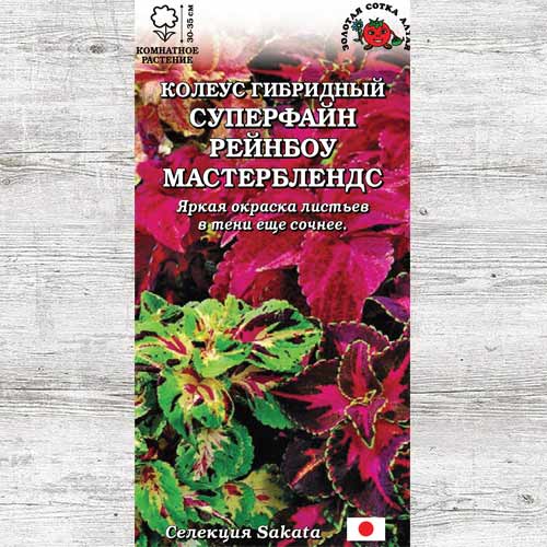 Колеус Суперфайн Рейнбоу Мастербленд артикул фото 1 Колеус Суперфайн Рейнбоу Мастербленд изображение 1 артикул 83705