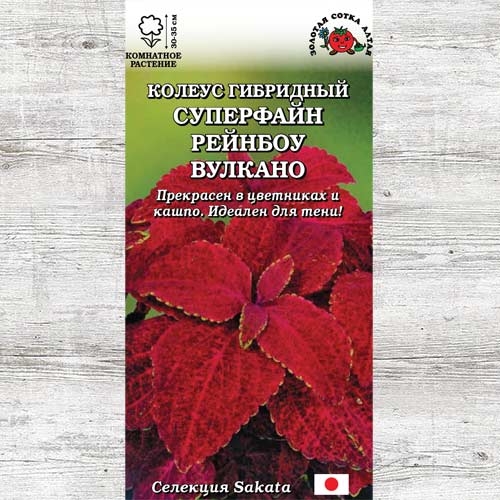 Колеус Суперфайн Рейнбоу Вулкано артикул фото 1 Колеус Суперфайн Рейнбоу Вулкано изображение 1 артикул 83703
