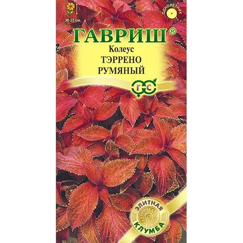 Колеус Тэррено румяный, семена изображение 1 артикул 92099