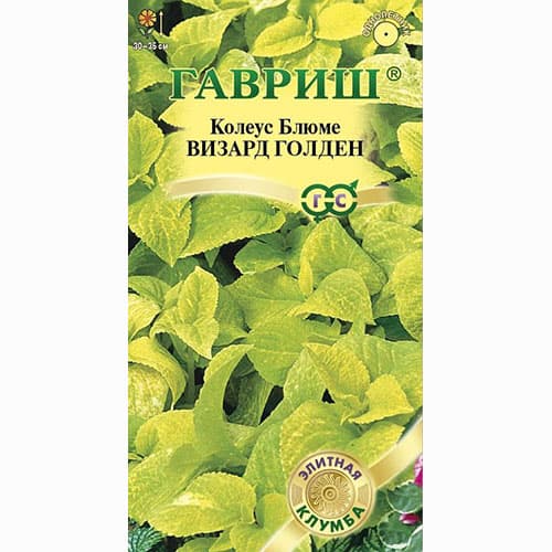 Колеус блюме Визард Голден Гавриш изображение 1 артикул 82388