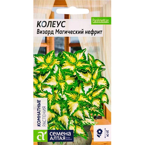 Колеус Визард Магический Нефрит, семена изображение 1 артикул 94180
