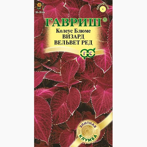 Колеус Визард Вельвет ред Гавриш изображение 1 артикул 97698