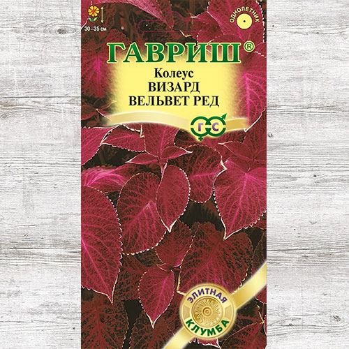 Колеус Визард Вельвет Ред Гавриш изображение 1 артикул 82387