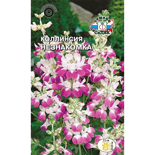 Коллинсия Незнакомка, семена изображение 1 артикул 93824