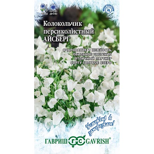 Колокольчик Айсберг, семена изображение 1 артикул 92100