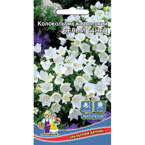 Колокольчик Белый танец, семена изображение 1 артикул 94811