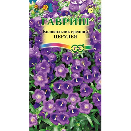 Колокольчик Церулея, семена изображение 1 артикул 92108