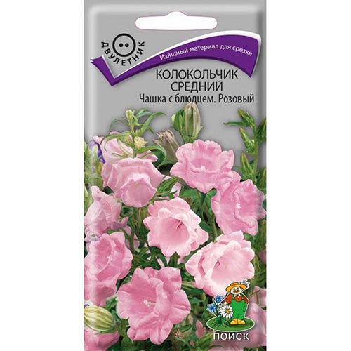 Колокольчик Чашка с блюдцем розовый, семена артикул фото 1 Колокольчик Чашка с блюдцем розовый, семена изображение 1 артикул 93006