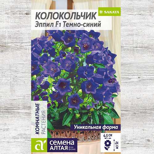 Колокольчик Эппил темно-синий F1 изображение 1 артикул 81682