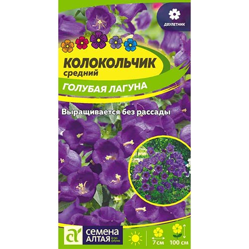 Колокольчик Голубая лагуна, семена артикул фото 1 Колокольчик Голубая лагуна, семена изображение 1 артикул 94889