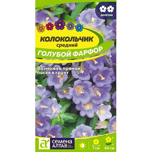 Колокольчик Голубой фарфор Семена Алтая артикул фото 1 Колокольчик Голубой фарфор Семена Алтая изображение 1 артикул 78204