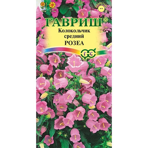 Колокольчик Розеа, семена артикул фото 1 Колокольчик Розеа, семена изображение 1 артикул 92105