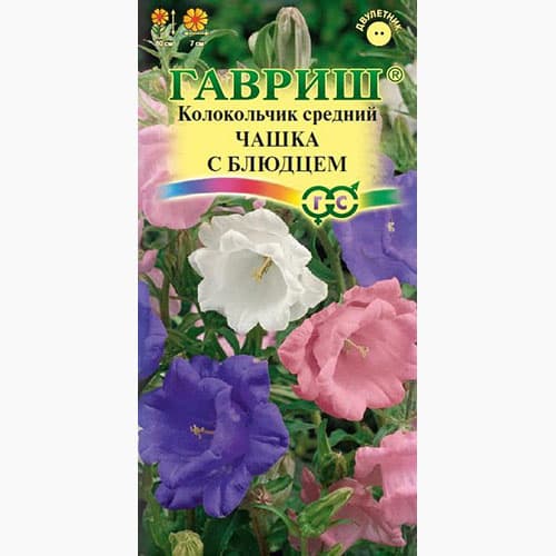 Колокольчик средний Чашка с блюдцем Гавриш артикул фото 1 Колокольчик средний Чашка с блюдцем Гавриш изображение 1 артикул 97699