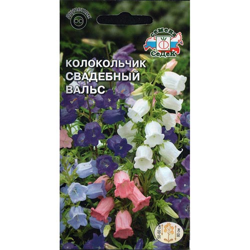 Колокольчик Свадебный вальс, смесь окрасок артикул фото 1 Колокольчик Свадебный вальс, смесь окрасок изображение 1 артикул 93827