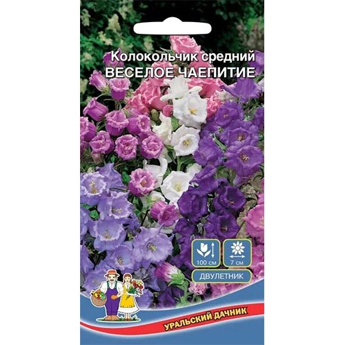 Колокольчик Веселое чаепитие, смесь окрасок артикул фото 1 Колокольчик Веселое чаепитие, смесь окрасок изображение 1 артикул 94812
