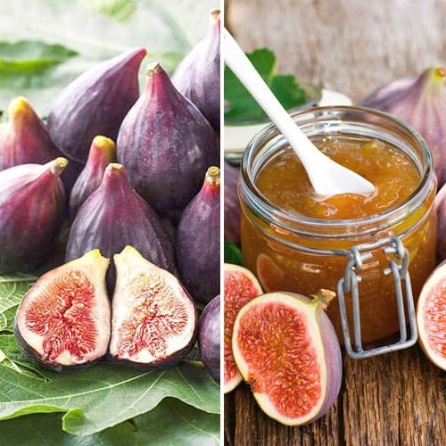 Комплект инжира из 2 саженцев изображение 1 артикул 4841