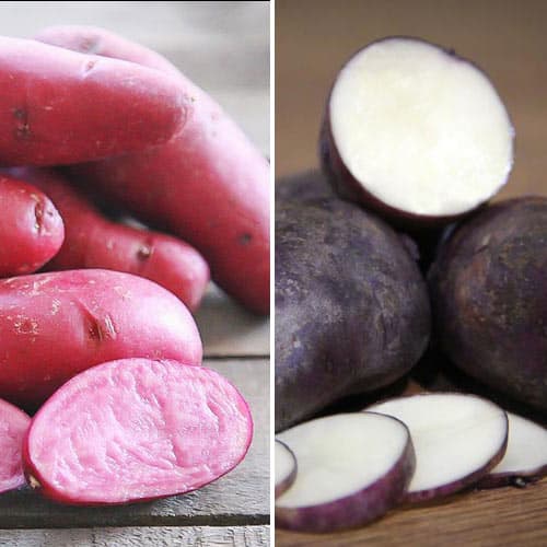 Комплект картофеля Диетический из 2 сортов изображение 1 артикул 9634