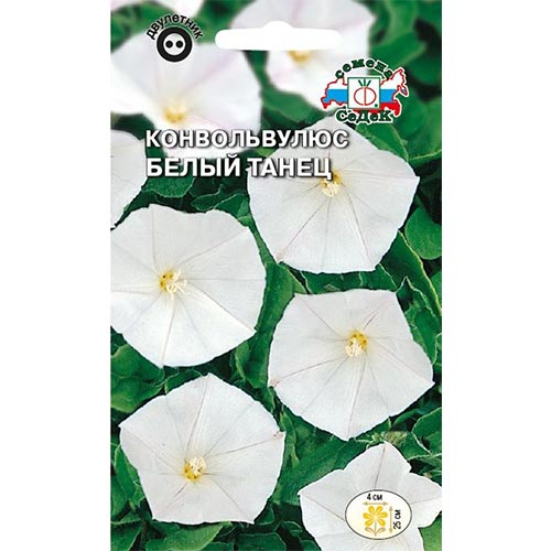 Конвольвулюс Белый танец, семена изображение 1 артикул 93830