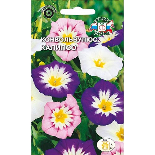 Конвольвулюс Калипсо, смесь окрасок изображение 1 артикул 93832