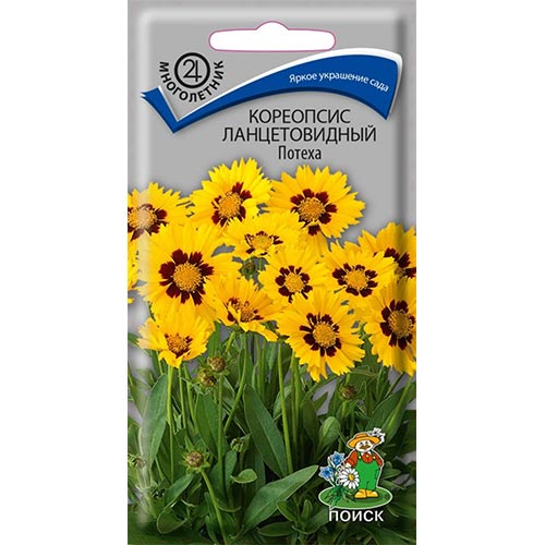 Кореопсис Потеха, семена изображение 1 артикул 93008