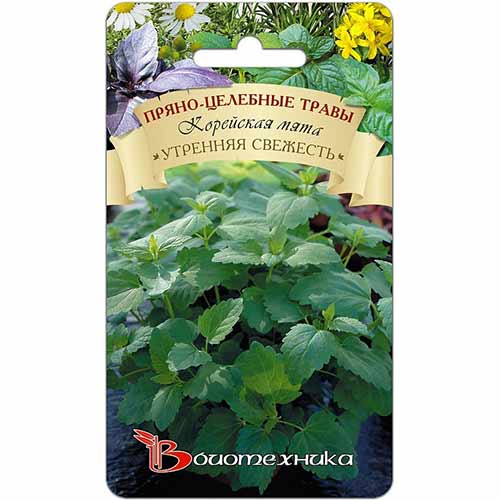 Мята корейская Утренняя свежесть Биотехника изображение 1 артикул 74005