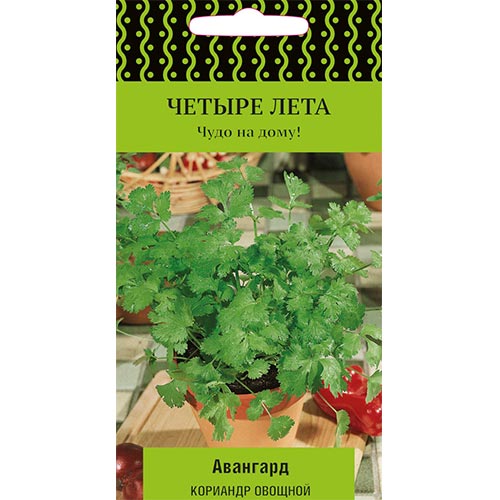 Кориандр Авангард Поиск изображение 1 артикул 74910