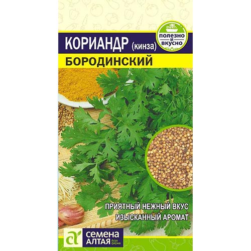 Кориандр Бородинский Семена Алтая изображение 1 артикул 81497