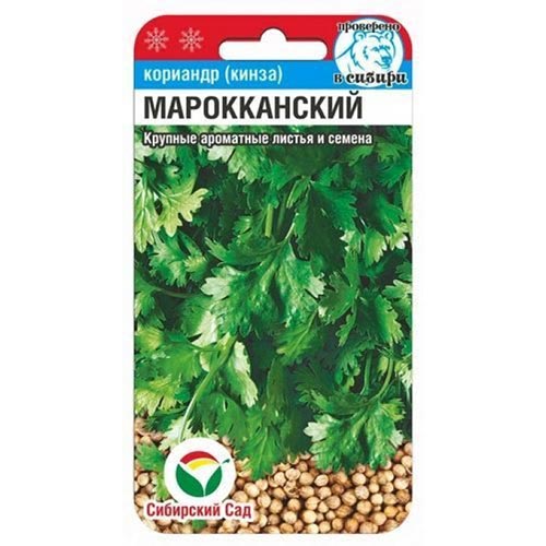 Кориандр Мароканский, семена изображение 1 артикул 94356