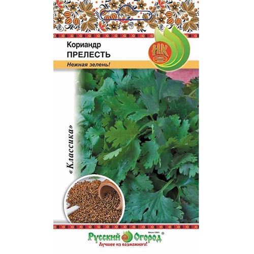 Кориандр Прелесть, семена изображение 1 артикул 92331