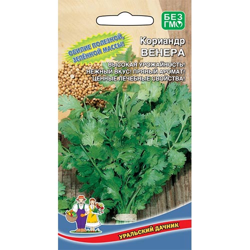 Кориандр Венера, семена артикул фото 1 Кориандр Венера, семена изображение 1 артикул 94544