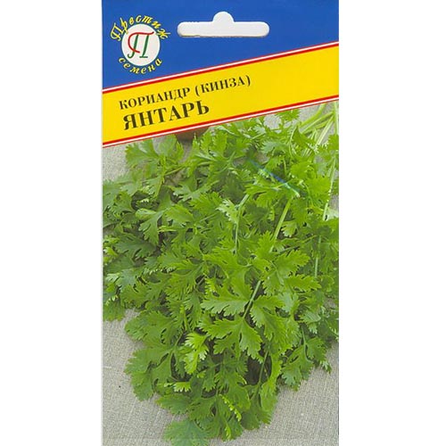 Кориандр Янтарь, семена изображение 1 артикул 93212