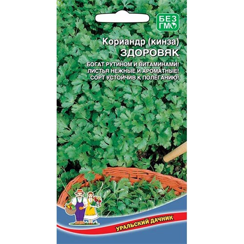 Кориандр Здоровяк, семена изображение 1 артикул 94545