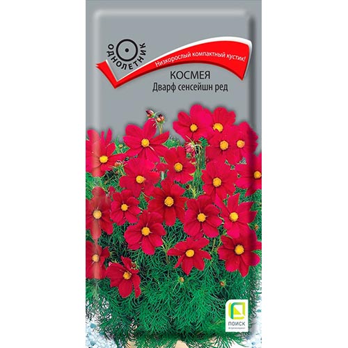 Космея Дварф Сенсейшн Ред, семена изображение 1 артикул 93010