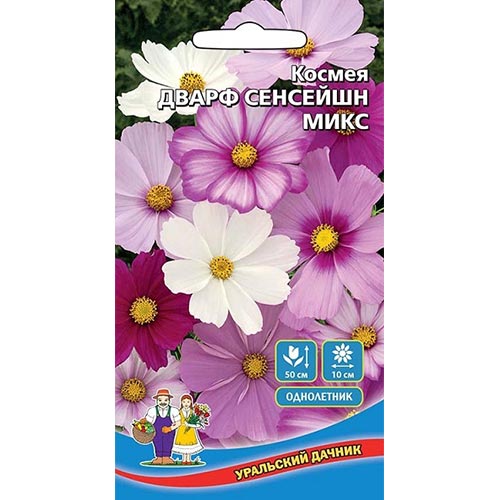 Космея Дварф Сенсейшн, смесь окрасок изображение 1 артикул 94814