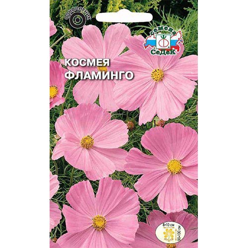 Космея Фламинго, семена изображение 1 артикул 93853