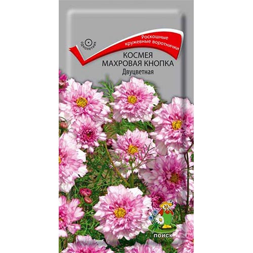 Космея Кнопка двуцветная, семена изображение 1 артикул 93014