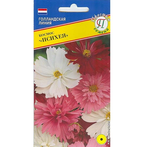Космея (космос) Психея, смесь окрасок Престиж изображение 1 артикул 93236