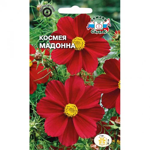 Космея Мадонна, семена изображение 1 артикул 93847
