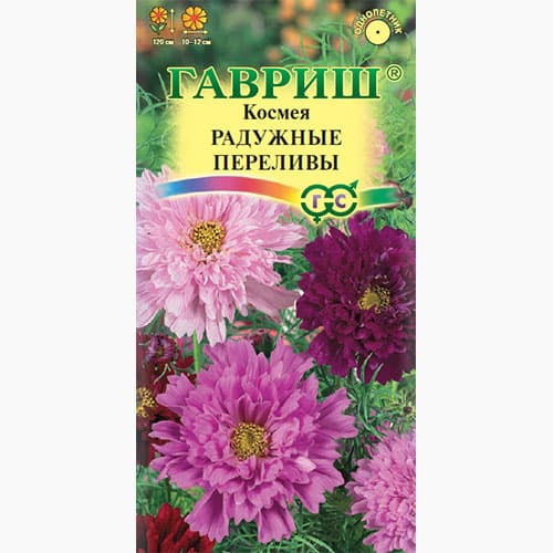 Космея махровая Радужные переливы Гавриш изображение 1 артикул 97702
