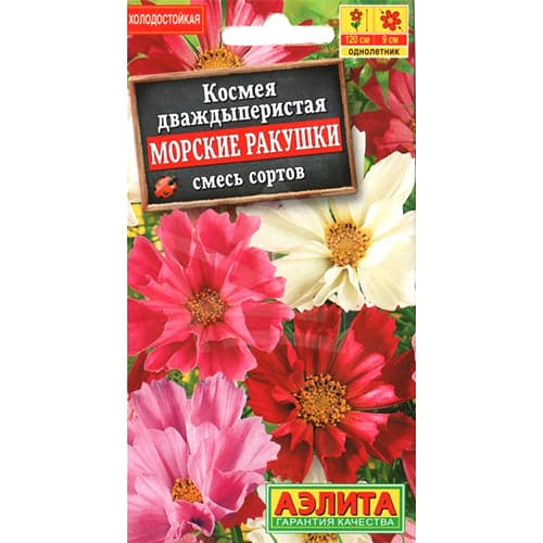 Космея Морские ракушки, смесь окрасок Аэлита изображение 1 артикул 98975