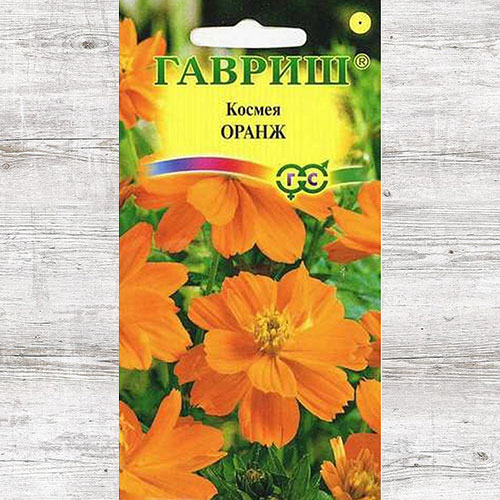 Космея Оранж Гавриш артикул фото 1 Космея Оранж Гавриш изображение 1 артикул 82393