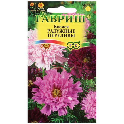 Космея Радужные переливы, смесь окрасок артикул фото 1 Космея Радужные переливы, смесь окрасок изображение 1 артикул 73860